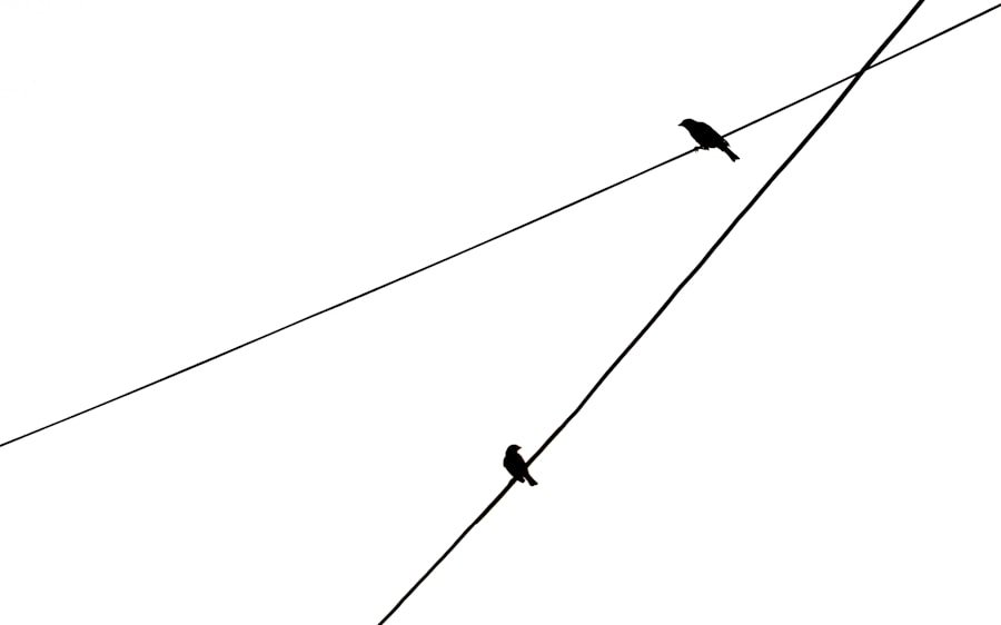 Lineage