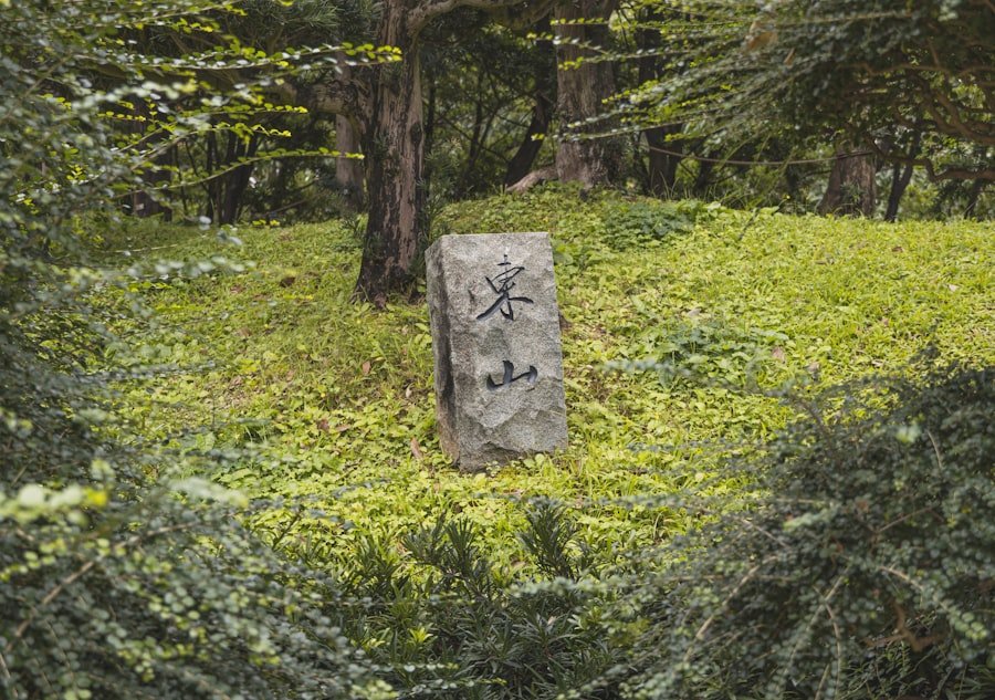Photo Chinese Characters